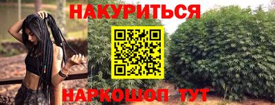 амф Можга
